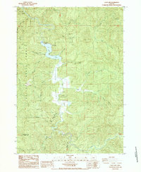 Download a high-resolution, GPS-compatible USGS topo map for Loon Lake, OR (1985 edition)