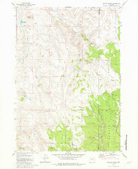 Download a high-resolution, GPS-compatible USGS topo map for Mackey Butte, OR (1981 edition)