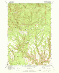 Download a high-resolution, GPS-compatible USGS topo map for Madison Butte, OR (1973 edition)