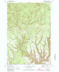 Download a high-resolution, GPS-compatible USGS topo map for Madison Butte, OR (1984 edition)