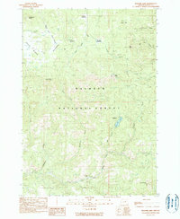 Download a high-resolution, GPS-compatible USGS topo map for Magone Lake, OR (1990 edition)
