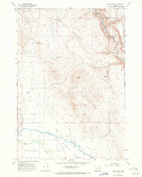 Download a high-resolution, GPS-compatible USGS topo map for Magpie Peak, OR (1971 edition)