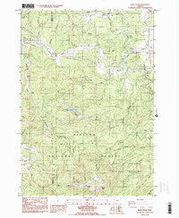 Download a high-resolution, GPS-compatible USGS topo map for Marys Peak, OR (1984 edition)
