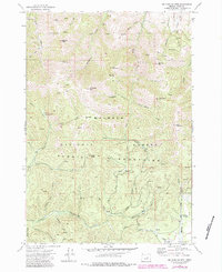 Download a high-resolution, GPS-compatible USGS topo map for Mc Clellan Mtn, OR (1984 edition)