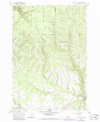 Download a high-resolution, GPS-compatible USGS topo map for Mc Intyre Creek, OR (1985 edition)