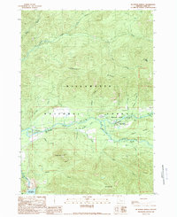 preview thumbnail of historical topo map of Lane County, OR in 1989
