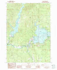 Download a high-resolution, GPS-compatible USGS topo map for Mc Leod, OR (1988 edition)