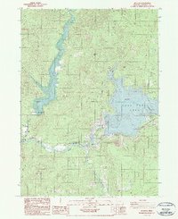 Download a high-resolution, GPS-compatible USGS topo map for McLeod, OR (1990 edition)