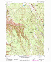 Download a high-resolution, GPS-compatible USGS topo map for Meacham Lake, OR (1984 edition)