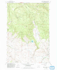 Download a high-resolution, GPS-compatible USGS topo map for Medical Springs, OR (1993 edition)