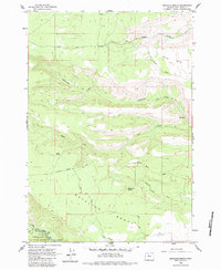 Download a high-resolution, GPS-compatible USGS topo map for Metolius Bench, OR (1983 edition)