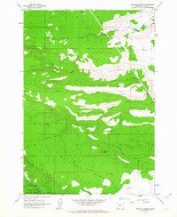 Download a high-resolution, GPS-compatible USGS topo map for Metolius Bench, OR (1963 edition)