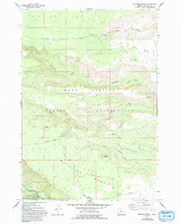 Download a high-resolution, GPS-compatible USGS topo map for Metolius Bench, OR (1994 edition)