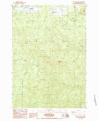 Download a high-resolution, GPS-compatible USGS topo map for Mill City South, OR (1985 edition)