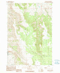 Download a high-resolution, GPS-compatible USGS topo map for Miller Flat, OR (1990 edition)