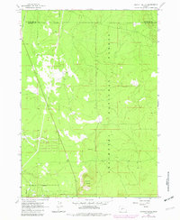 Download a high-resolution, GPS-compatible USGS topo map for Moffitt Butte, OR (1982 edition)