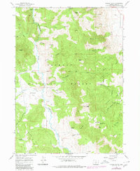 Download a high-resolution, GPS-compatible USGS topo map for Morgan Butte, OR (1980 edition)