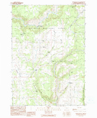 Download a high-resolution, GPS-compatible USGS topo map for Mosquito Flat, OR (1999 edition)