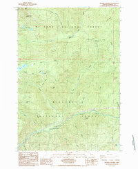 preview thumbnail of historical topo map of Marion County, OR in 1985