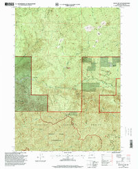 Download a high-resolution, GPS-compatible USGS topo map for Mount Butler, OR (1999 edition)