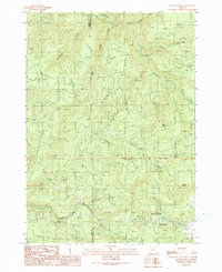 Download a high-resolution, GPS-compatible USGS topo map for Mount Gurney, OR (1990 edition)
