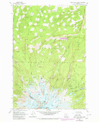 Download a high-resolution, GPS-compatible USGS topo map for Mount Hood North, OR (1980 edition)
