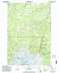 Download a high-resolution, GPS-compatible USGS topo map for Mount Hood North, OR (1998 edition)