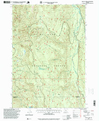 Download a high-resolution, GPS-compatible USGS topo map for Mount Lowe, OR (1999 edition)