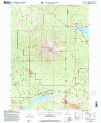 Download a high-resolution, GPS-compatible USGS topo map for Mount Mc Loughlin, OR (2000 edition)