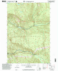 Download a high-resolution, GPS-compatible USGS topo map for Mount Mitchell, OR (1999 edition)