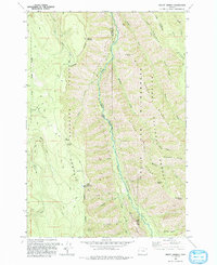 Download a high-resolution, GPS-compatible USGS topo map for Mount Moriah, OR (1993 edition)