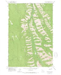 Download a high-resolution, GPS-compatible USGS topo map for Mount Moriah, OR (1967 edition)