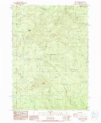 Download a high-resolution, GPS-compatible USGS topo map for Mount Nebo, OR (1988 edition)