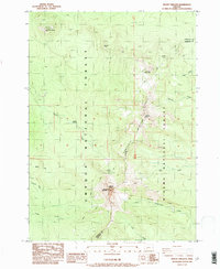 Download a high-resolution, GPS-compatible USGS topo map for Mount Thielsen, OR (1985 edition)