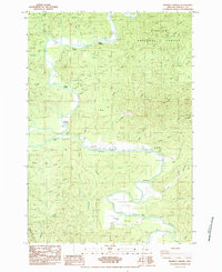 Download a high-resolution, GPS-compatible USGS topo map for Mowrey Landing, OR (1984 edition)