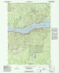 Download a high-resolution, GPS-compatible USGS topo map for Mt Defiance, OR (1993 edition)