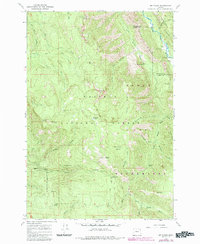 Download a high-resolution, GPS-compatible USGS topo map for Mt Fanny, OR (1985 edition)