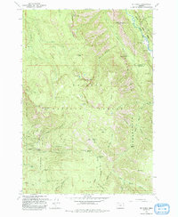 Download a high-resolution, GPS-compatible USGS topo map for Mt Fanny, OR (1993 edition)