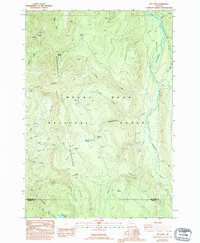 Download a high-resolution, GPS-compatible USGS topo map for Mt Lowe, OR (1994 edition)