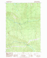 Download a high-resolution, GPS-compatible USGS topo map for Mt Mitchell, OR (1985 edition)