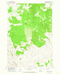 Download a high-resolution, GPS-compatible USGS topo map for Mutton Mtn, OR (1964 edition)