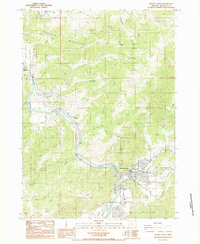 Download a high-resolution, GPS-compatible USGS topo map for Myrtle Creek, OR (1987 edition)