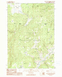 Download a high-resolution, GPS-compatible USGS topo map for Myrtle Park Meadows, OR (1990 edition)