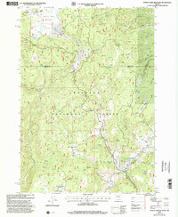 Download a high-resolution, GPS-compatible USGS topo map for Myrtle Park Meadows, OR (2002 edition)