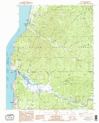 Download a high-resolution, GPS-compatible USGS topo map for Neskowin, OR (1995 edition)