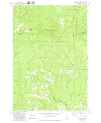 Download a high-resolution, GPS-compatible USGS topo map for Niagara Creek, OR (1979 edition)