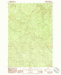 Download a high-resolution, GPS-compatible USGS topo map for Nicolai Mtn, OR (1985 edition)