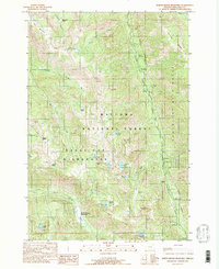 Download a high-resolution, GPS-compatible USGS topo map for North Minam Meadows, OR (1990 edition)