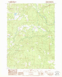 Download a high-resolution, GPS-compatible USGS topo map for Obenchain Mtn, OR (1988 edition)