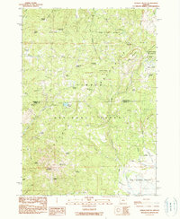 Download a high-resolution, GPS-compatible USGS topo map for Ochoco Butte, OR (1990 edition)